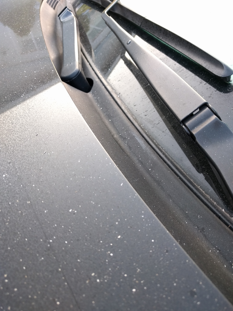 Illustration for article titled Query: Car car procedure for ash?